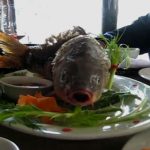 Cá chép còn ngáp trên bàn ăn ở nhà hàng Hà Nội